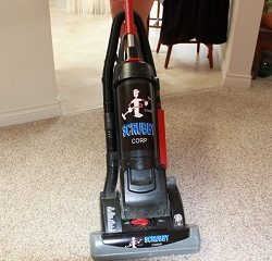 Will shampooing online carpet kill fleas