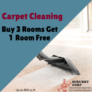 Carpet Cleaning Deals Olympia