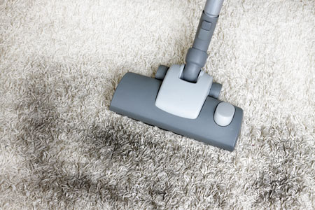 Carpet Cleaner In Lacey WA