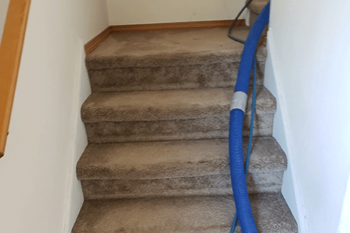 Carpet Cleaning Company Dupont