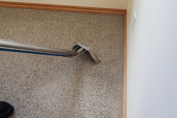 Carpet Cleaning Dupont