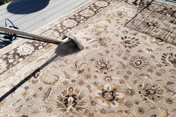 Carpet Cleaning Lacey