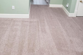 Professional Carpet Cleaning Lacey