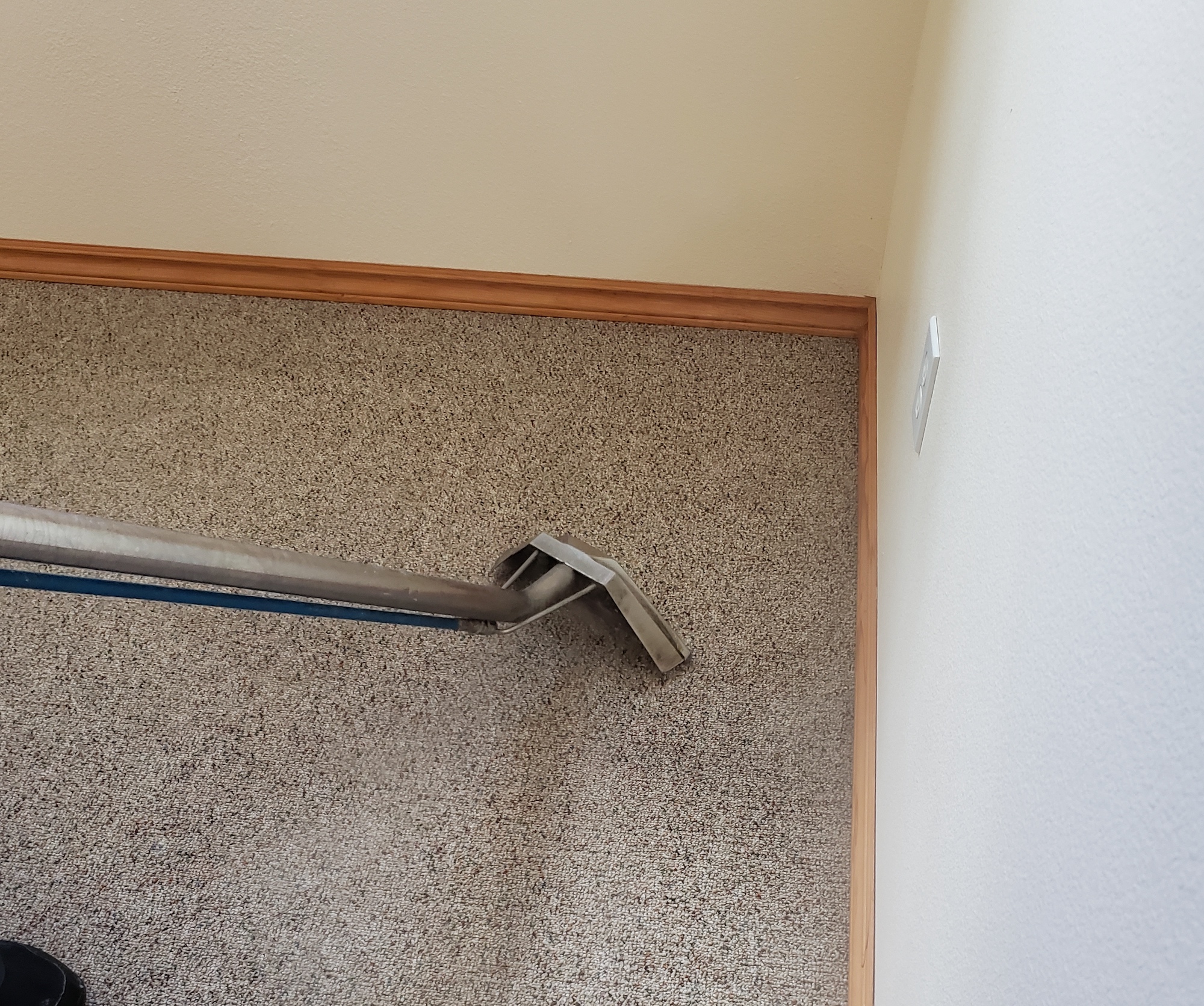 Carpet Cleaning Olympia