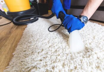 Carpet Cleaning Yelm