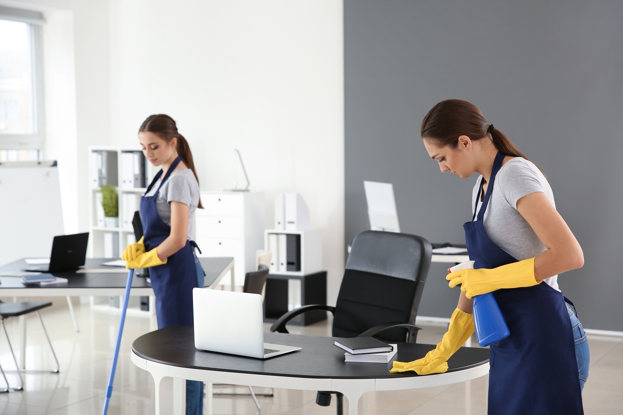 Cleaning Services Dupont