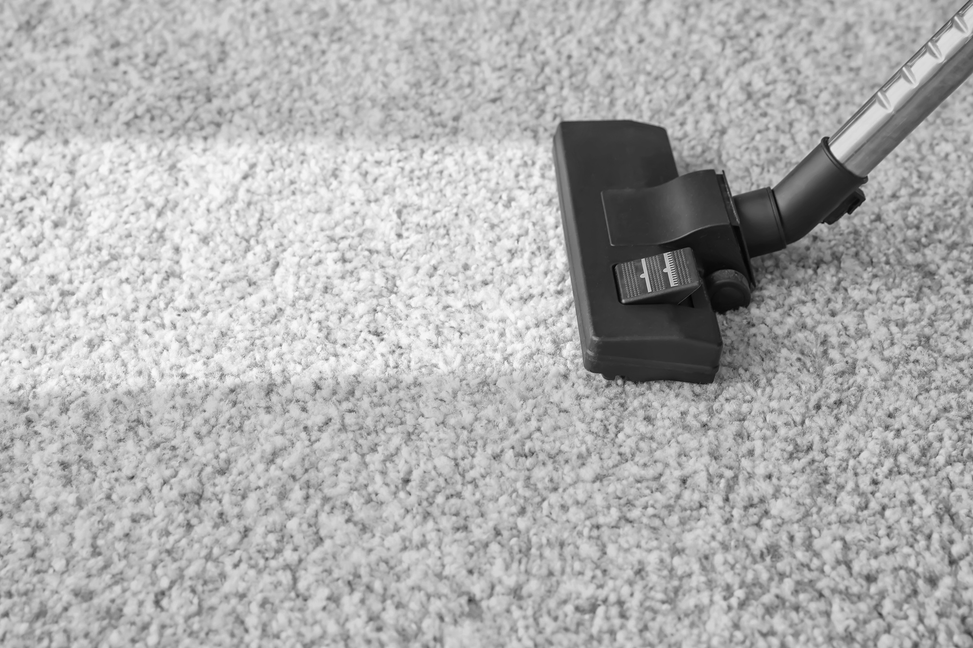 Carpet Cleaning Olympia WA