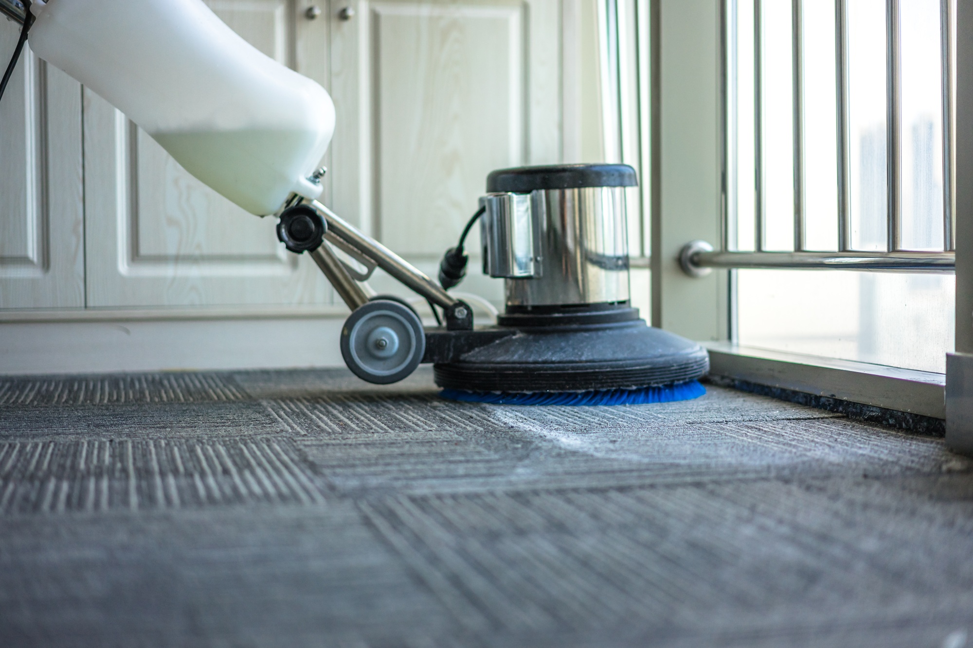 Carpet Cleaning Olympia WA