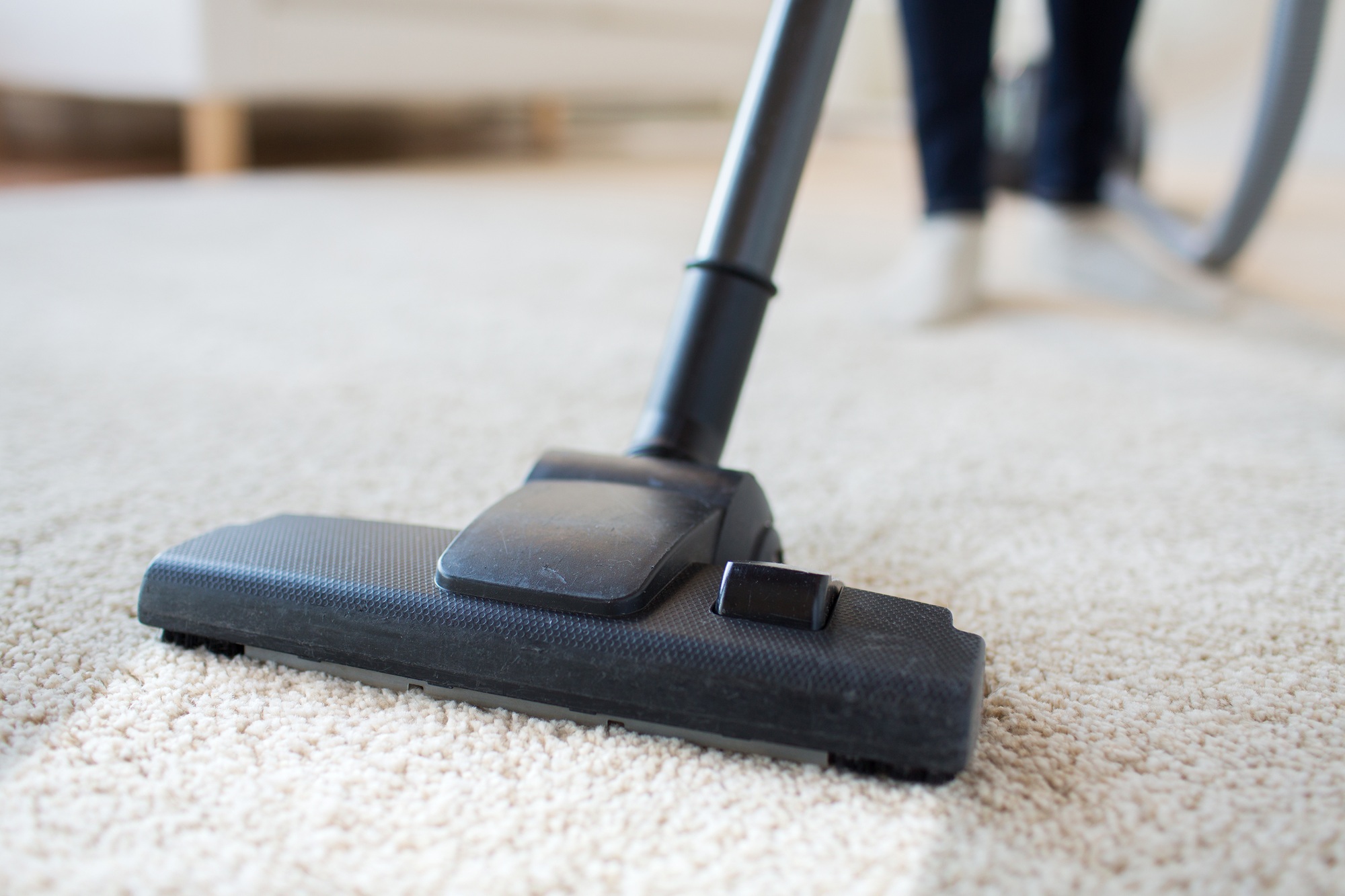 Carpet Cleaning Olympia WA