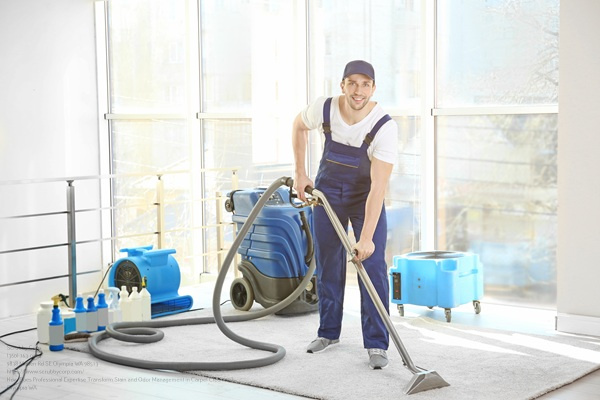 Dry Cleaner's Employee Removing Dirt From Carpet In Flat