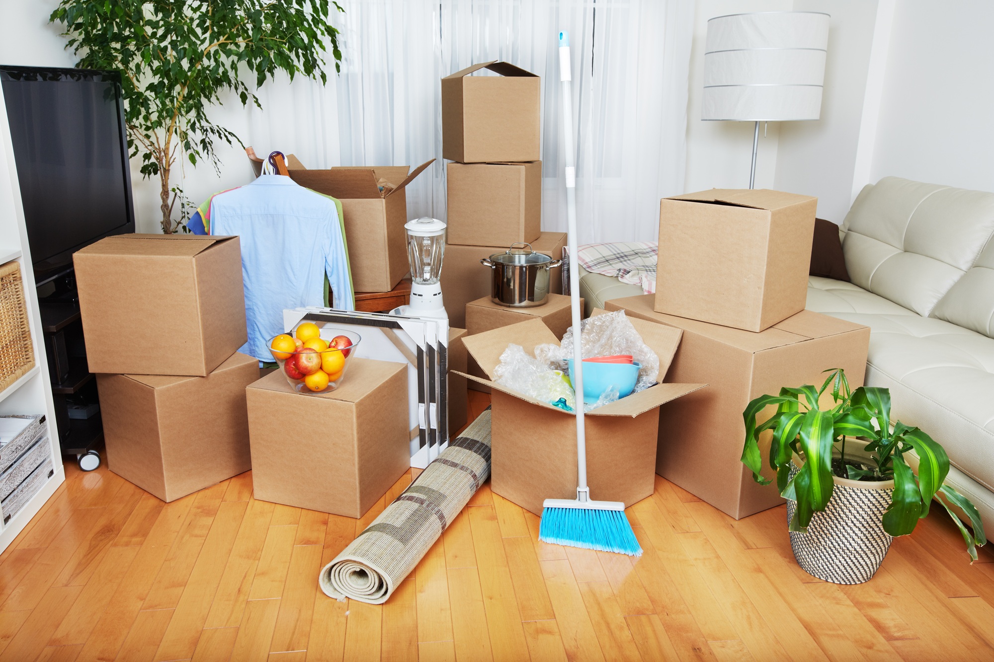 Move Out Cleaning Olympia WA Move Out Cleaning Olympia WA