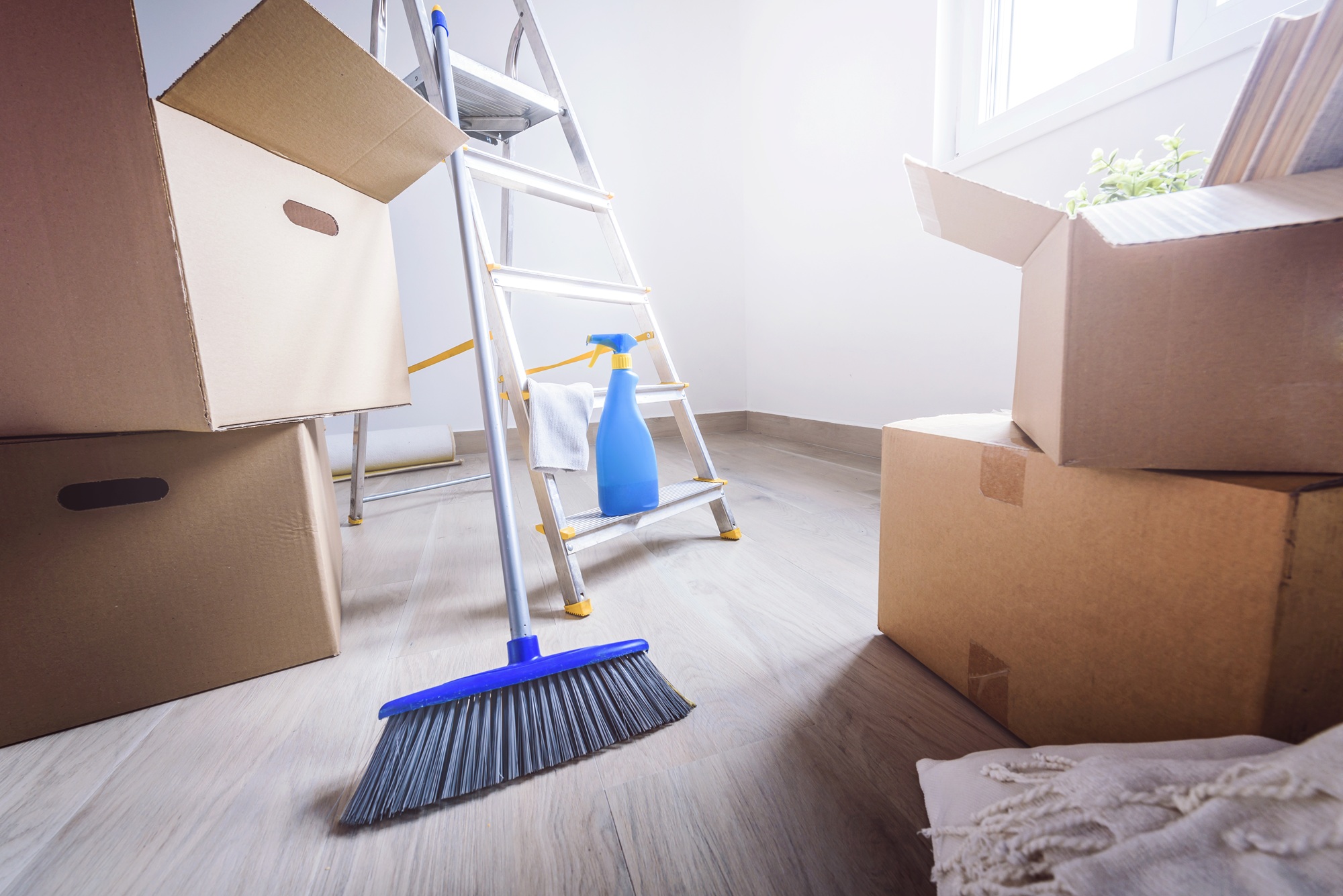 Move Out Cleaning Olympia WA Move Out Cleaning Olympia WA